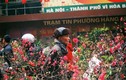 Điểm danh 5 chợ hoa Tết nổi tiếng ở Hà Nội