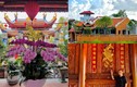 Đón Tết, Việt phủ dát vàng của Vượng Râu rực rỡ sắc hoa