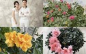 Cận cảnh penthouse rực sắc hoa đón Tết của MC Thành Trung