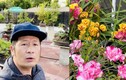 Bên trong khu vườn ngập sắc hoa xuân của Bằng Kiều ở Mỹ 