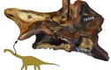 Phát hiện cơ chế hô hấp kỳ lạ của khủng long: Thở thông qua xương