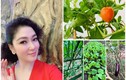 Khu vườn xanh mướt trong biệt thự của Hoa hậu Nguyễn Thị Huyền 