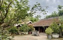 Mê mẩn nhà cổ 200 tuổi duy nhất còn nguyên vẹn ở Đà Nẵng