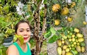 Khu vườn nghìn m2 ngập hoa trái của nữ đại gia showbiz Việt