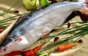 Cá “đại gia” nức tiếng Nam Bộ đắt cỡ nào? 