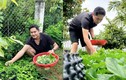 Nhà vườn 3.000 m2 ngập rau xanh của diễn viên Minh Luân