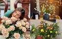 Xuýt xoa biệt thự ngập hoa tươi của diễn viên Vân Trang