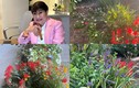 Mãn nhãn khu vườn muôn sắc hoa của vợ cũ Đàm Vĩnh Hưng 