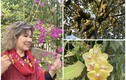 Cận cảnh nhà vườn 1.000m2 “thẳng cánh cò bay” của NSND Thanh Hoa