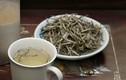 Những điều chưa biết về loại trà Việt hơn nửa tỷ đồng/kg