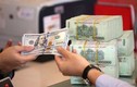 Bộ Tài chính Hoa Kỳ xác định “Việt Nam không thao túng tiền tệ”