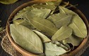 Những điều chưa biết về loại lá Việt sang Mỹ 2 triệu đồng/kg