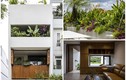 Làm vườn trong nhà, nhà Sài Gòn “đẹp nghiêng ngả” trên báo Mỹ 