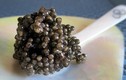 Lý do gì khiến trứng cá Caviar đắt bậc nhất hành tinh? 