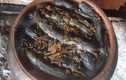 Loại cá xưa cho lợn ăn nay nổi tiếng 350.000 đồng/kg