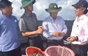 Nuôi ốc hương dưới ao bạt, nông dân Bạc Liêu bán 420.000 đồng/kg