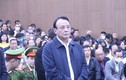 Tuyên phạt Chủ tịch Tập đoàn Tân Hoàng Minh 8 năm tù