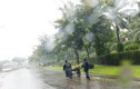 Bão số 3 đã suy yếu, gây mưa lớn ở Đà Nẵng, Quảng Nam