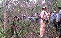 Thiếu nữ lớp 7 chết lõa thể trong rừng, nghi bị sát hại