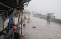 Thủy triều dâng, mưa lớn ở ven biển Thanh Hóa