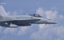 Vì sao F-18 NATO dám “vuốt mặt” chuyên cơ Bộ trưởng Quốc phòng Nga?