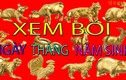 Xem bói tháng sinh âm lịch biết chính xác vận mệnh giàu nghèo sướng khổ 