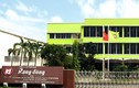 Thông tin sai lệch, Rạng Đông Holding bị xử phạt 242,5 triệu đồng 