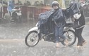 Cơn mưa “vàng” giữa đợt khô hạn ở Lâm Đồng