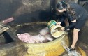 Đồng Nai: Phạt lò mổ heo 17 triệu, buộc luộc chín gần 300kg thịt