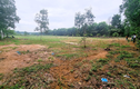 Đồng Nai sẽ thu hồi 3.700 ha đất nông nghiệp để làm dự án