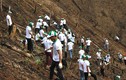 Hàng trăm nhân viên Honda trèo đồi trồng rừng tại Bắc Kạn