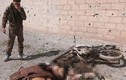 Cảnh tượng rợn người ở thủ phủ của IS