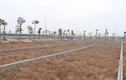 Hà Nội “mạnh tay” ngăn chặn phân lô, bán nền đất nông nghiệp