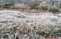 Nghệ An: Nhiệt độ hạ xuống -20C, băng tuyết trắng xóa
