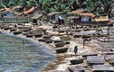 Kho ảnh khổng lồ về VN 1991-1993: Vẻ đẹp của làng cá