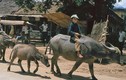 Kho ảnh khổng lồ về VN 1991-1993: Đời thường ở Điện Biên
