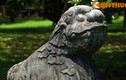 Vẻ đẹp của “sư tử đá thuần Việt” ở cố đô Huế