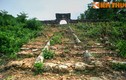 Lăng mộ ít biết của 9 chúa Nguyễn: Lăng Trường Thái