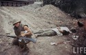 Hình ảnh ám ảnh về Sài Gòn năm 1968 của Life (3)