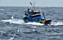 Tàu cá Bình Định bị cảnh sát biển Trung Quốc tấn công