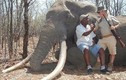 Chấn động thế giới: Thợ săn chi tiền tỷ bắn chết voi khổng lồ