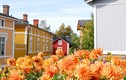 Vẻ đẹp nao lòng của khu phố cổ nổi tiếng Phần Lan