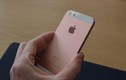  Trên tay điện thoại iPhone SE phiên bản Rose Gold 