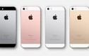  Người Việt thích xài sang, điện thoại iPhone SE bị chê là đúng 