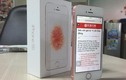 Soi iPhone SE vàng hồng “chính hãng” ở VN