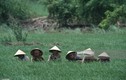 Loạt ảnh muôn đời giá trị về Việt Nam thập niên 1990 (1)