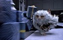 10 loài sinh vật huyền bí ở phim bom tấn ăn theo ‘Harry Potter’