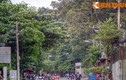 “Khu rừng” tuyệt đẹp trong ngôi chùa ở Sài Gòn  