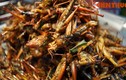 Chết khiếp với thế giới ẩm thực côn trùng ở Thái Lan