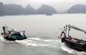Quảng Ninh xác minh vụ 2 tàu đuổi nhau trên Vịnh Hạ Long